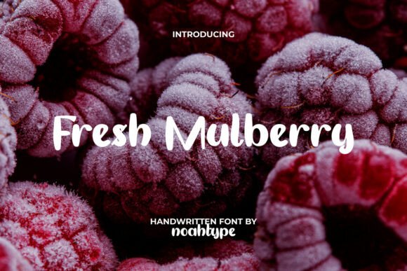 Fresh Mulberry Font Review for Branding Projects